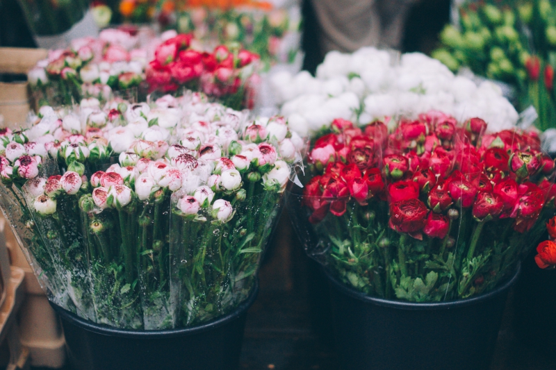 fleuriste-BARGEME-min_farmers-market-1209712